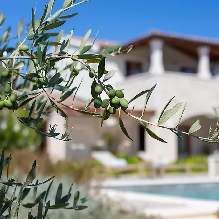 House Ginetto